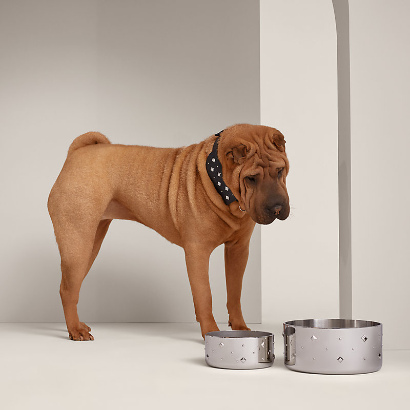 Punch dog bowl, large model | Hermès USA